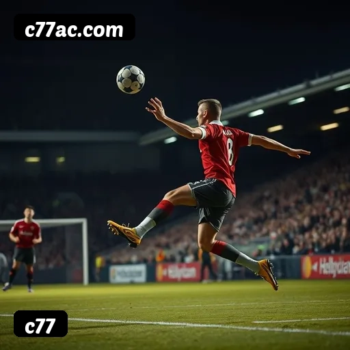 Níveis do programa VIP da c77